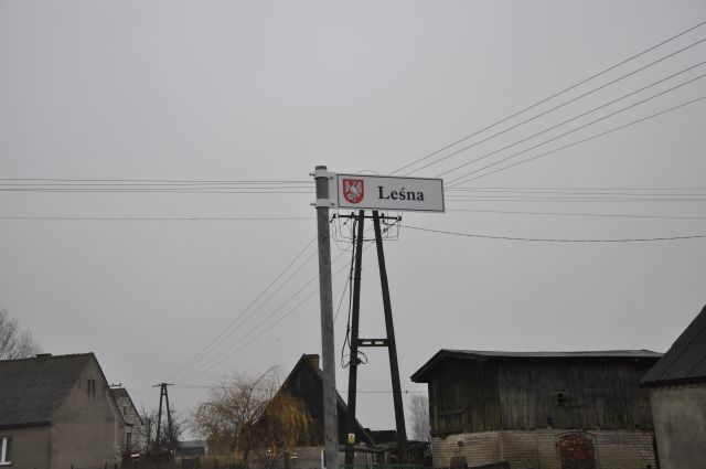 ul. Leśna